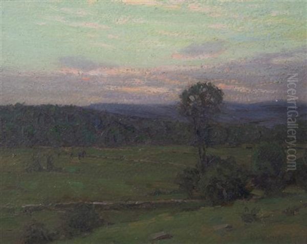Hillside At Dusk - view 1