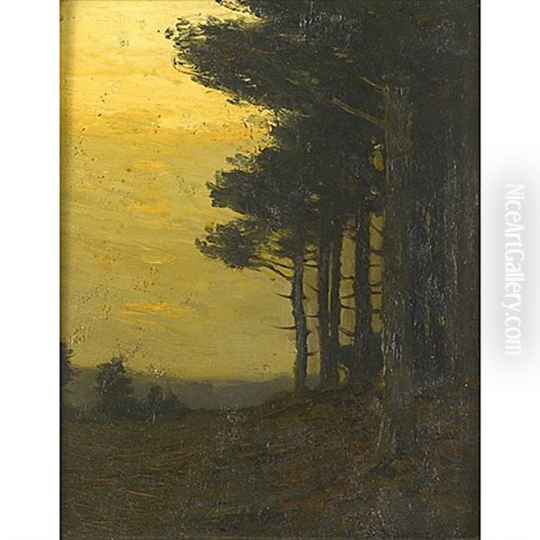 Untitled - view 1