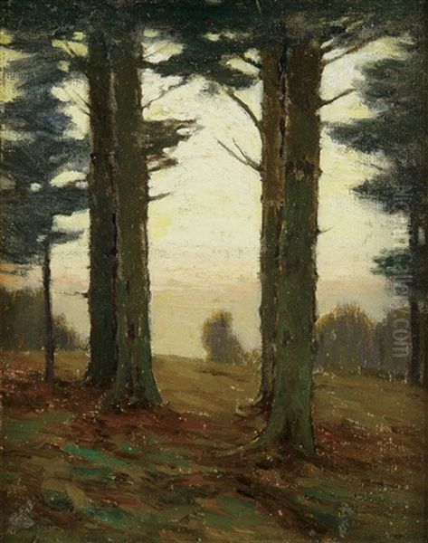 Forest Clearing At Dusk - view 1