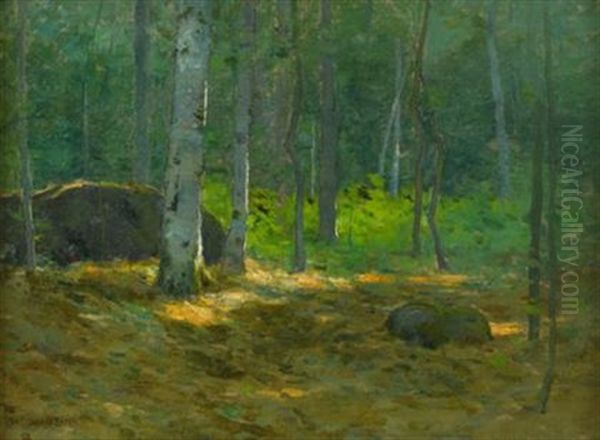 Forest Scene - view 1
