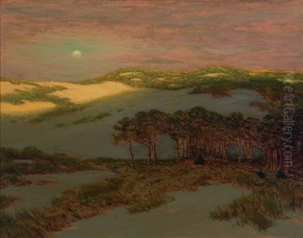 Dunes At Sunset - view 1