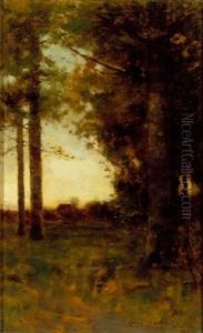 Towards A Clearing - Dusk Towards A Clearing - Dusk