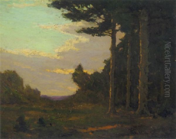 The Pines - view 1