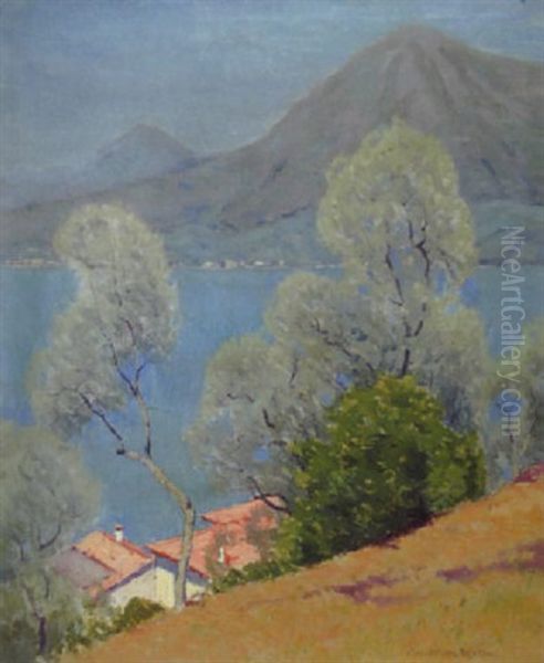 Blue And Silver, Lake Como - view 1