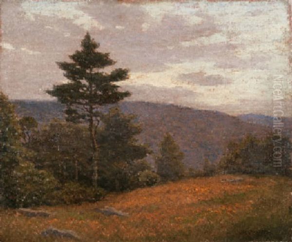 Full Summer - view 1