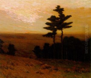 Pine Trees In A Landscape