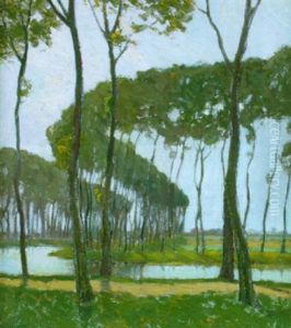 Poplars, Bruges