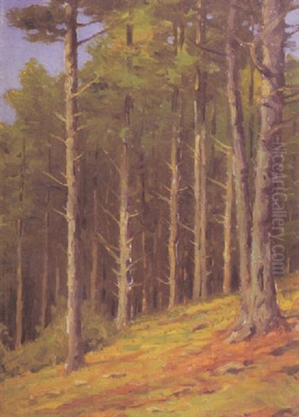 Standing Pines - view 1
