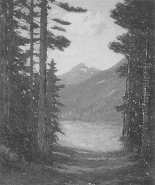 Through The Woods, Glacier Park - view 1