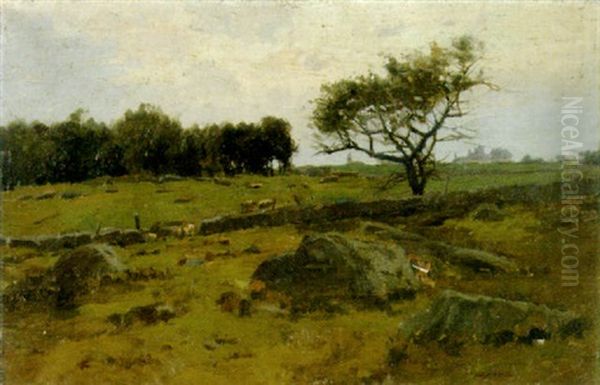 Near Thompson, Connecticut - view 1