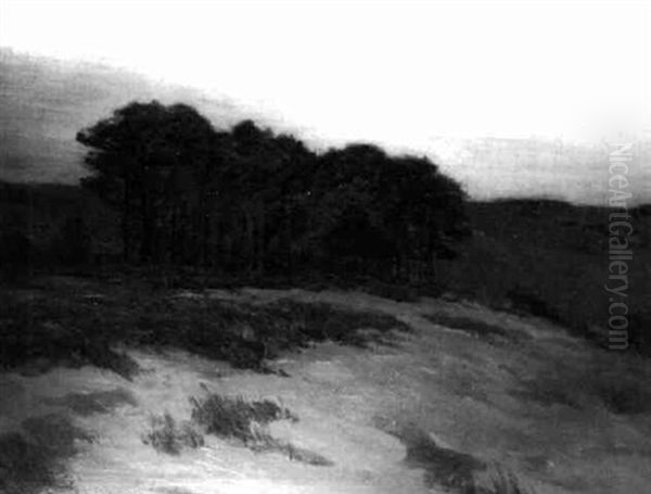 Stand Of Trees Against A Golden Dawn - view 1