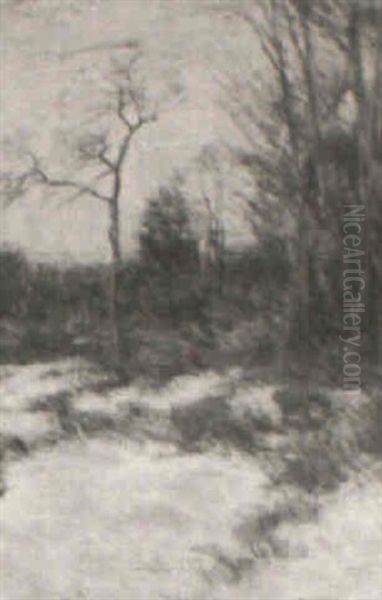 Winter Snow Scene - view 1