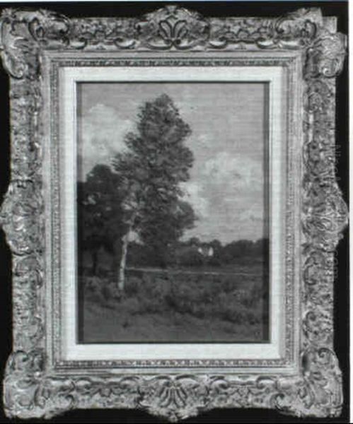 The Houses Across The Field - view 1