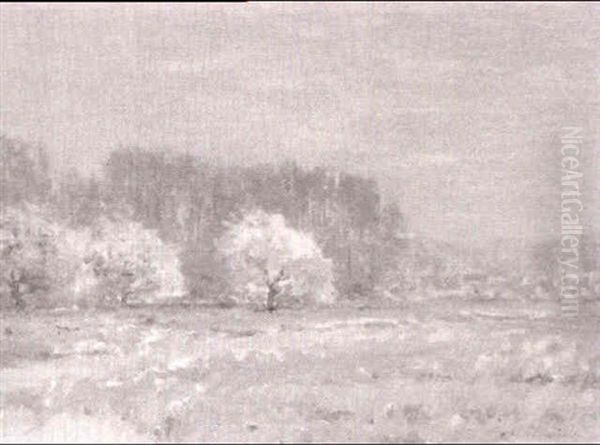 Misty Morning - view 1