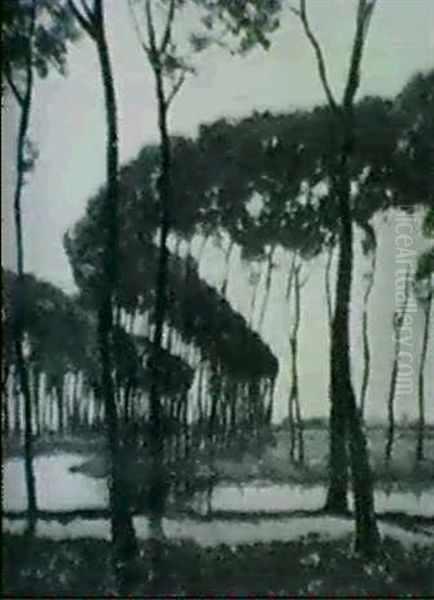 River In The Woods - view 1
