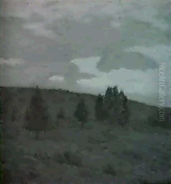 A Hillside At Dusk - view 1