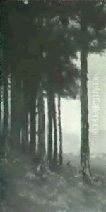 Sentinel Pines