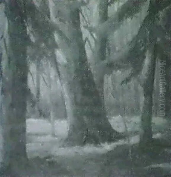 Forest Floor - view 1