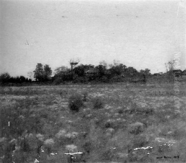 An Open Field At Dusk - view 1