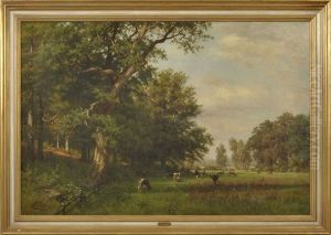 Weidende Kuhe Auf Waldlichtung