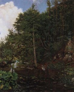 Bachlandschaft Im Wald Bachlandschaft Im Wald