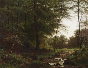 Waldlandschaft Waldlandschaft
