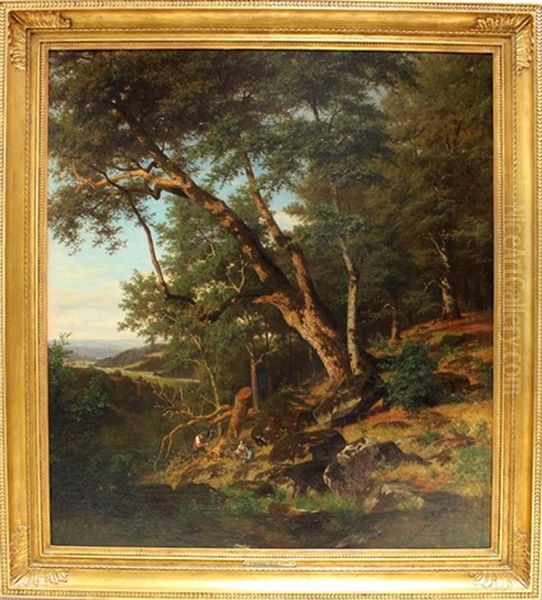 Waldlandschaft - view 1