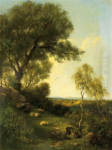 Weite Landschaft Mit Schafen Im Vordergrund - view 1