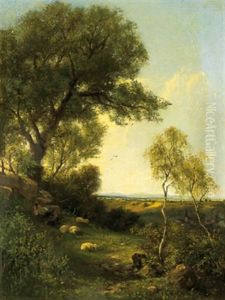 Weite Landschaft Mit Schafen Im Vordergrund