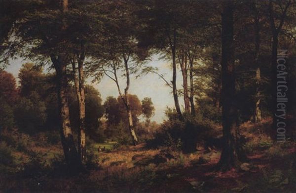 Waldlandschaft Mit Weidenden Kuhen Im Mittelgrund - view 1