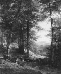Bewaldete Mittelgebirgslandschaft by Fritz Carl Werner Ebel