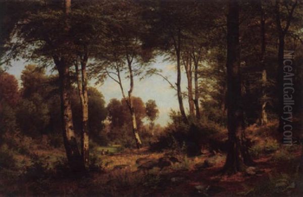 Lichte Waldlandschaften Mit Rehen Im Mittelgrund - view 1