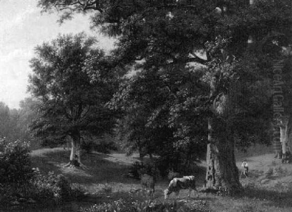 A Clearing In A Wood With Cattle Watering - view 1