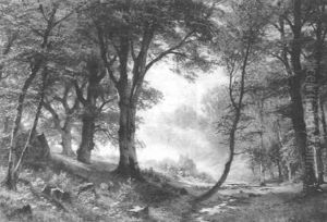 Waldlandschaft Mit Rehen by Fritz Carl Werner Ebel