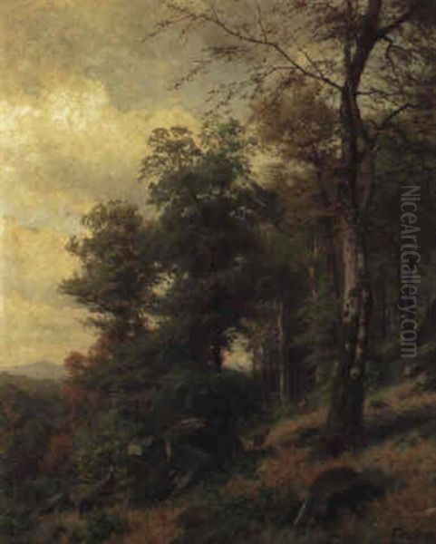 Herbstlicher Wald - view 1