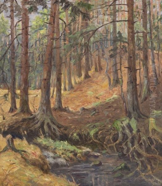 Waldlandschaft - view 1