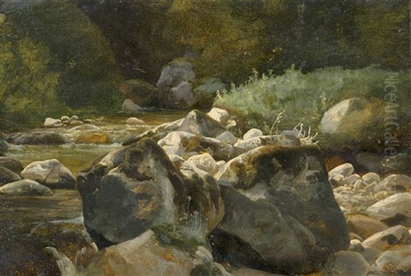 Steiniges Flussbett - view 1