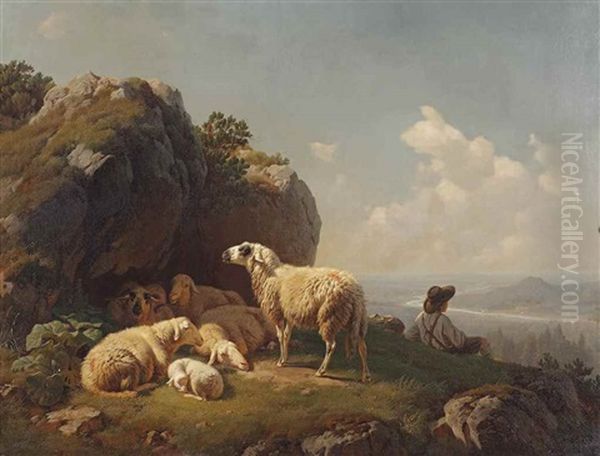 Sheep Resting - view 1
