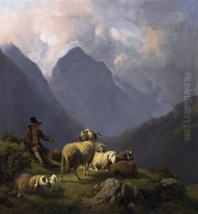 Hirte Mit Schafen Im Hochgebirge