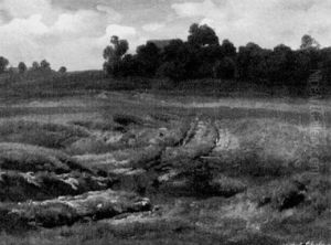 Bayrische Wiesenlandschaft