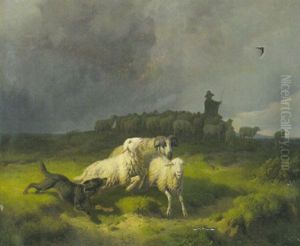 Schafer Mit Seiner Herde Bei Gewitterstimmung Auf Einer Anhohe