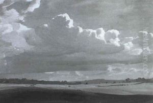 Weite Wiesenlandschaft Mit Feldern Und Angrenzendem Mischwald