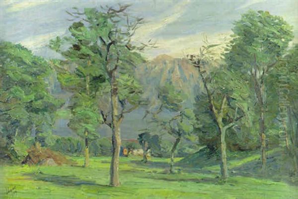 Oberaudorfer Landschaft - view 1