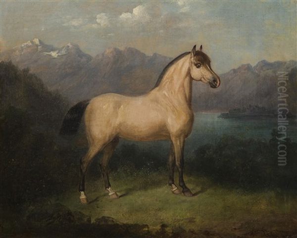 Portrait Of A Horse With The Veldesersee In The Background - view 1
