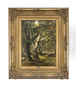 Waldlandschaft Mit Kuhen In Vahrn Bei Brixen Waldlandschaft Mit Kuhen In Vahrn Bei Brixen