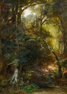 Waldinneres Waldinneres