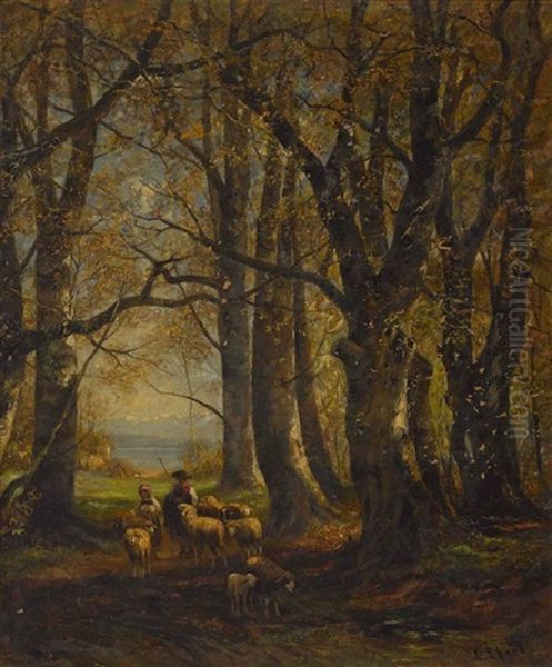Schafer Auf Waldweg - view 1