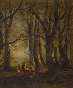Schafer Auf Waldweg Schafer Auf Waldweg