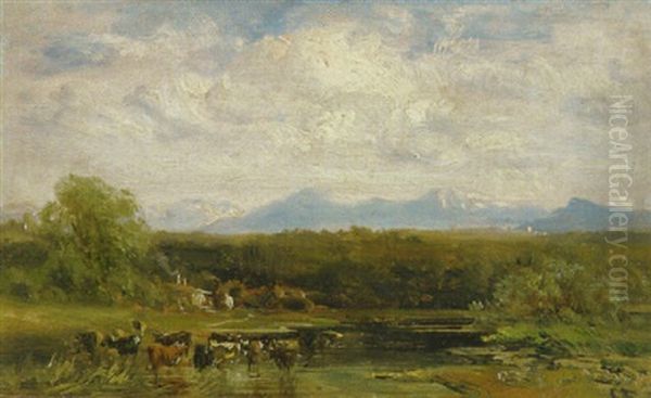 Kuhe An Der Tranke An Einem Teich In Voralpenlandschaft - view 1