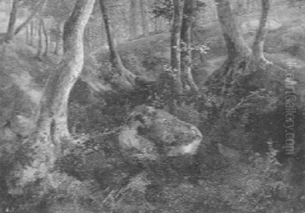 Waldstuck - view 1